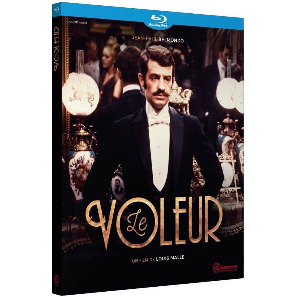 LE VOLEUR
