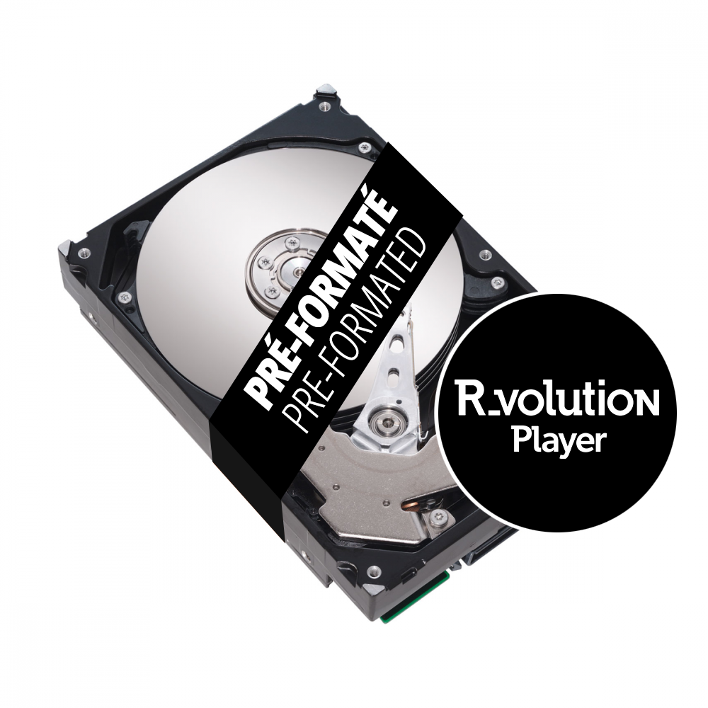 WESTERN DIGITAL BLUE 6To