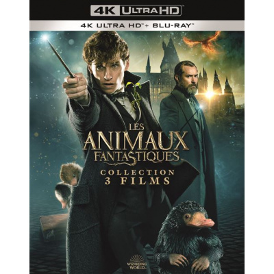 LES ANIMAUX FANTASTIQUES COLLECTION (ULTRA HD BLU RAY)